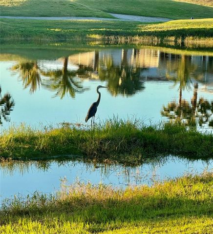 917 ST GEORGE DRIVE, Davenport, FL 33837