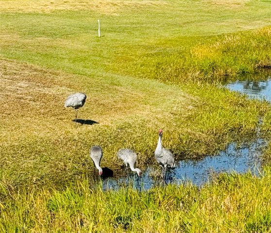 917 ST GEORGE DRIVE, Davenport, FL 33837