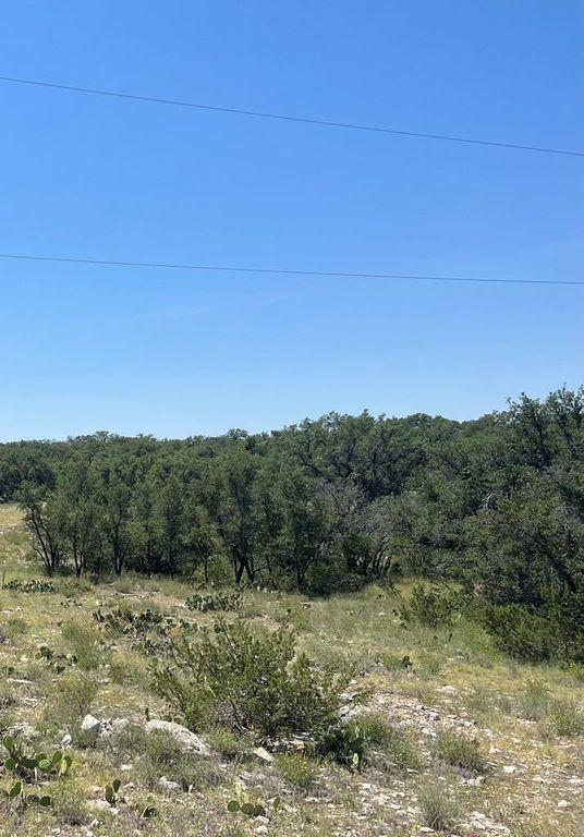 Image 1 of property listing at 4120 Majestic Oaks Drive, Christoval, TX 76935