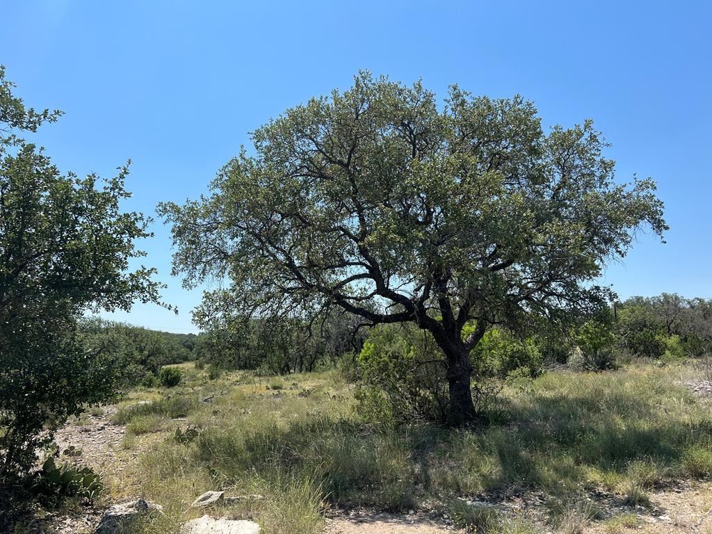 Image 2 of property listing at 4120 Majestic Oaks Drive, Christoval, TX 76935