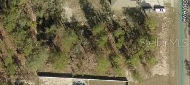 16051 SCAUP DUCK AVENUE, Weeki Wachee, FL 34614