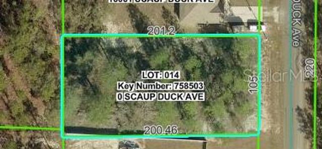 16051 SCAUP DUCK AVENUE, Weeki Wachee, FL 34614