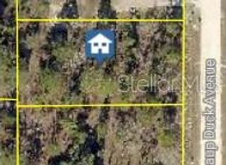 16051 SCAUP DUCK AVENUE, Weeki Wachee, FL 34614
