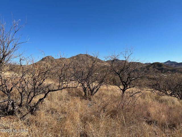 TBD Sonoita Drive # 9, Patagonia, AZ 85624
