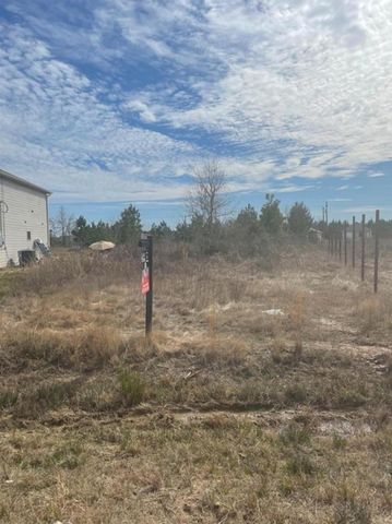 33 Road 5134, Cleveland, TX 77327