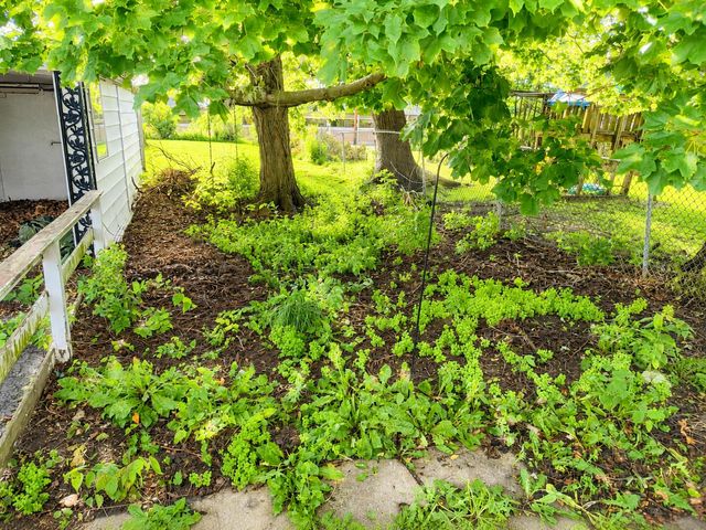 221 N Madriver Street 221 N Madriver Street, Bellefontaine, OH 43311