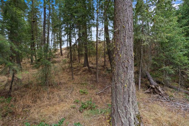 1106 E Silver Pine Rd, Colbert, WA 99005