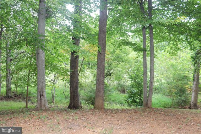 1111 EASTOVER PKWY, Locust Grove, VA 22508