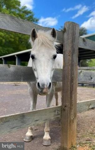 1111 EASTOVER PKWY, Locust Grove, VA 22508