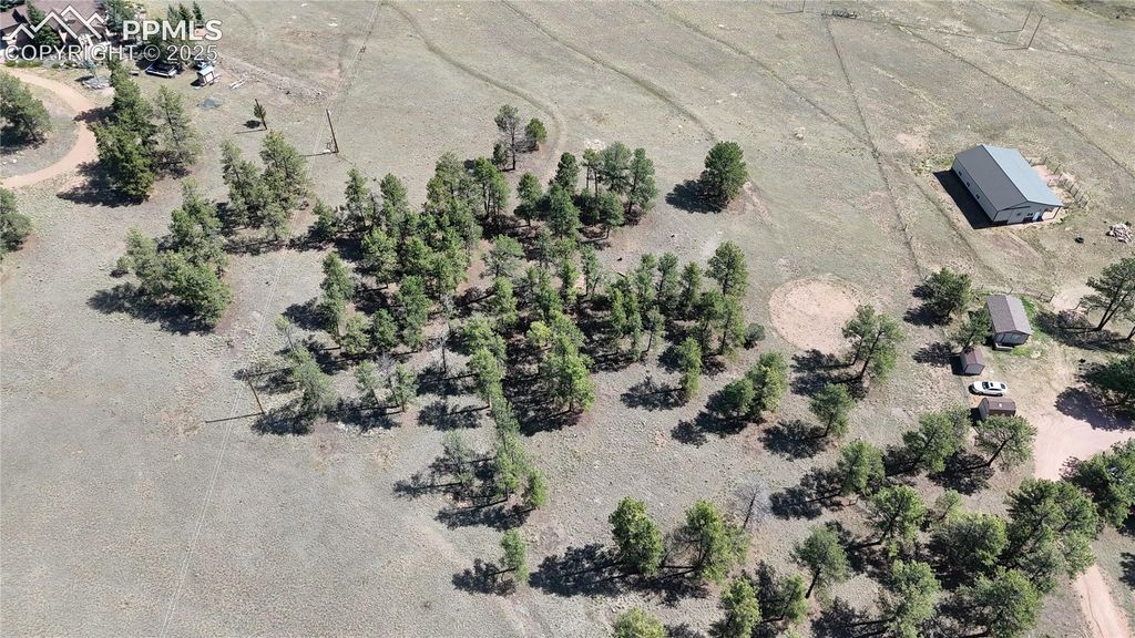 431 High Chateau Road, Florissant, CO 80816 — photo 4