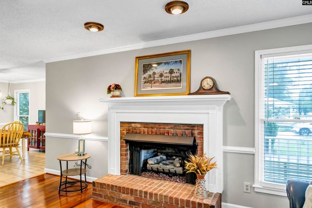 132 Platinum Drive, Lexington, SC 29072