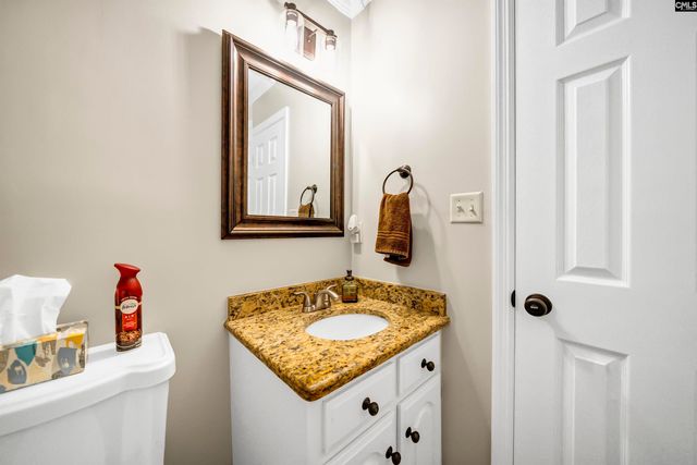 132 Platinum Drive, Lexington, SC 29072