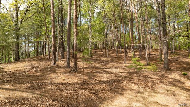 8731 Forrestal NE, Tuscaloosa, AL 35406