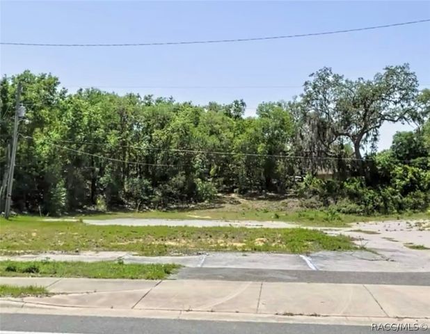 703 Southerly Avenue, Inverness, FL 34450