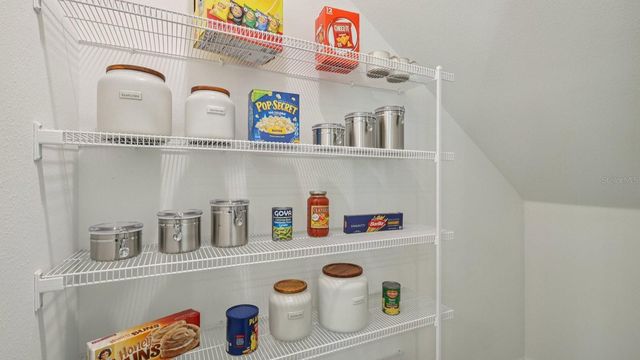 32479 WELLING BLADE LOOP, Wesley Chapel, FL 33545