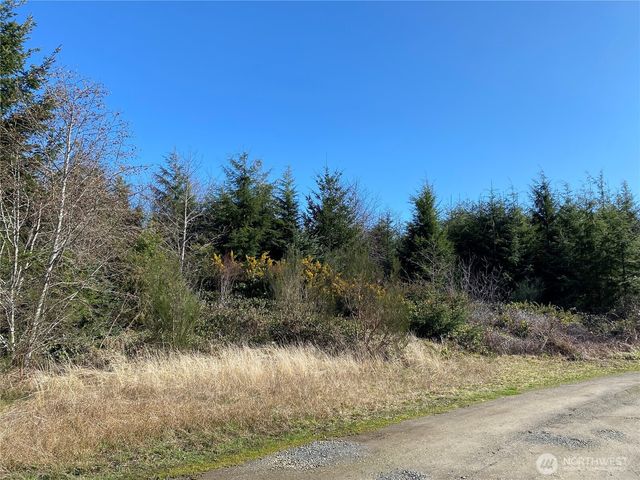 23800 Next to Elm, Ocean Park, WA 98640