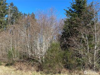 23800 Next to Elm, Ocean Park, WA 98640