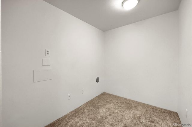 800 N Pearl Street 407, Denver, CO 80203