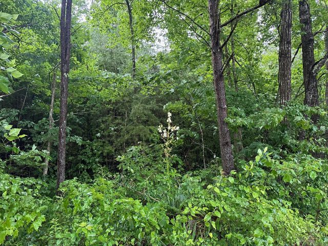 Lot 8 Saw Mill Road Lot 8, Palmer, TN 37365