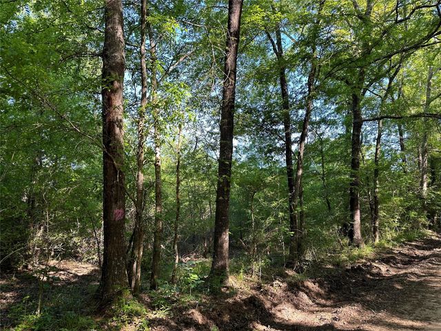 0 Hardy Bottom Road, Huntsville, TX 77340