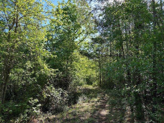 0 Hardy Bottom Road, Huntsville, TX 77340