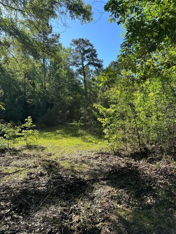 0 Hardy Bottom Road, Huntsville, TX 77340