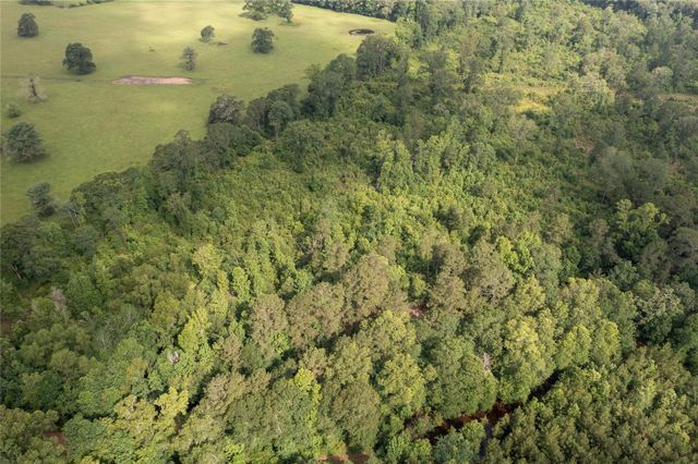 0 Hardy Bottom Road, Huntsville, TX 77340