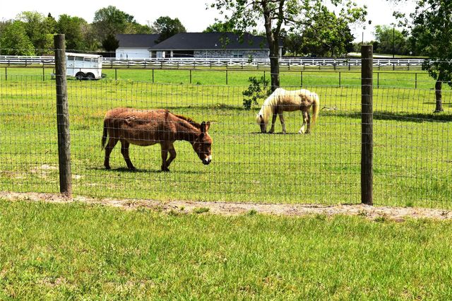 35564 Brumlow Road, Hempstead, TX 77445