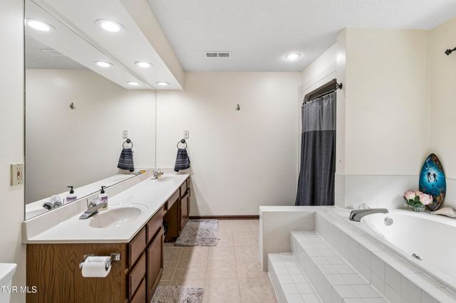 107 Lake Meadow Drive, Gray, TN 37615