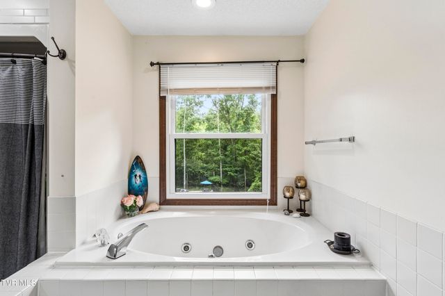 107 Lake Meadow Drive, Gray, TN 37615
