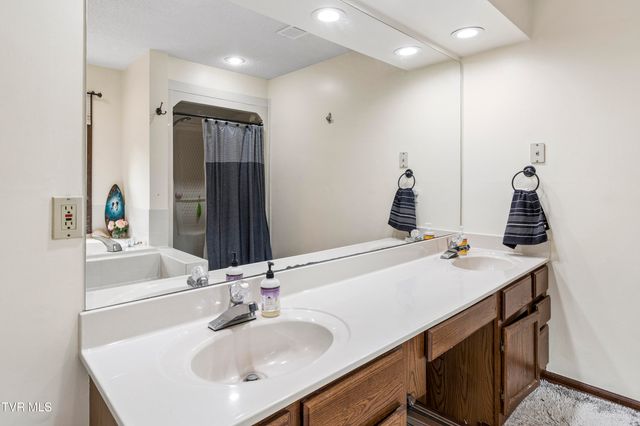 107 Lake Meadow Drive, Gray, TN 37615