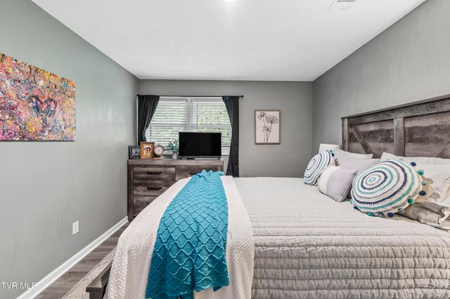 107 Lake Meadow Drive, Gray, TN 37615