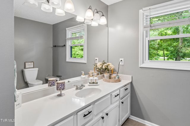 107 Lake Meadow Drive, Gray, TN 37615