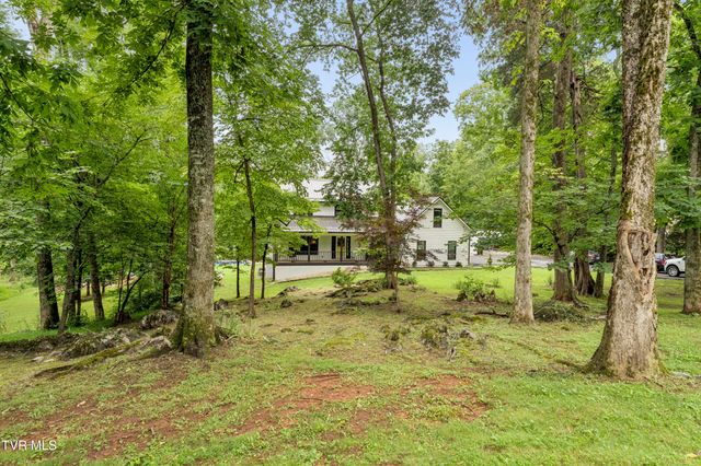 107 Lake Meadow Drive, Gray, TN 37615