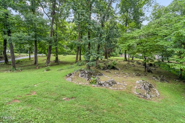 107 Lake Meadow Drive, Gray, TN 37615