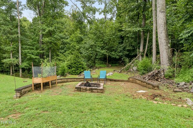 107 Lake Meadow Drive, Gray, TN 37615