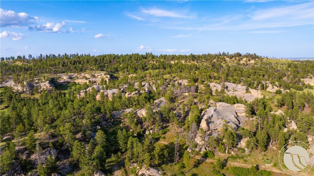 1234 Queens Point Road, Melstone, MT 59054 photo 10