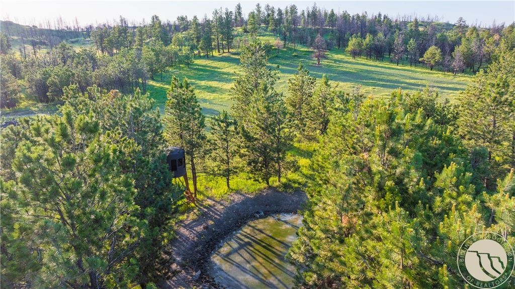 1234 Queens Point Road, Melstone, MT 59054 photo 14