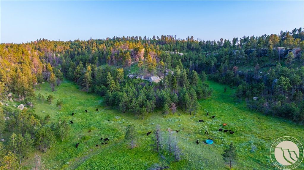 1234 Queens Point Road, Melstone, MT 59054 photo 15