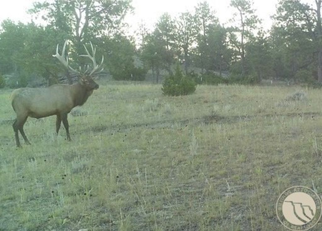 1234 Queens Point Road, Melstone, MT 59054 photo 20