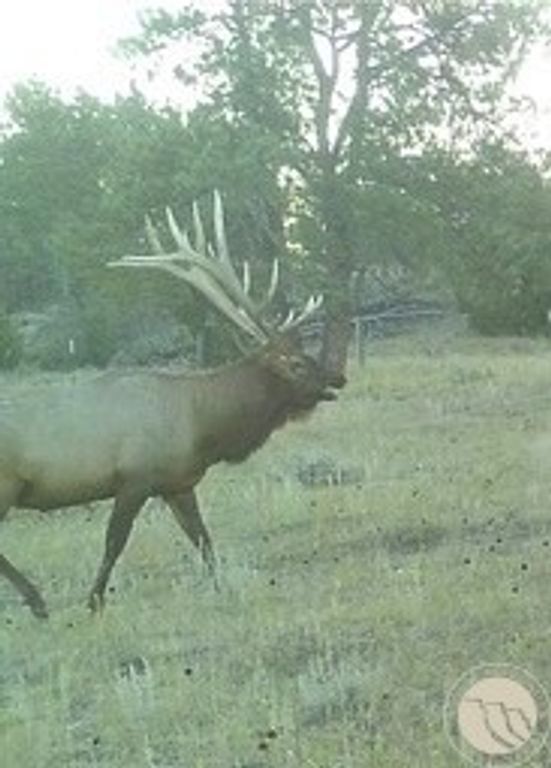 1234 Queens Point Road, Melstone, MT 59054 photo 21