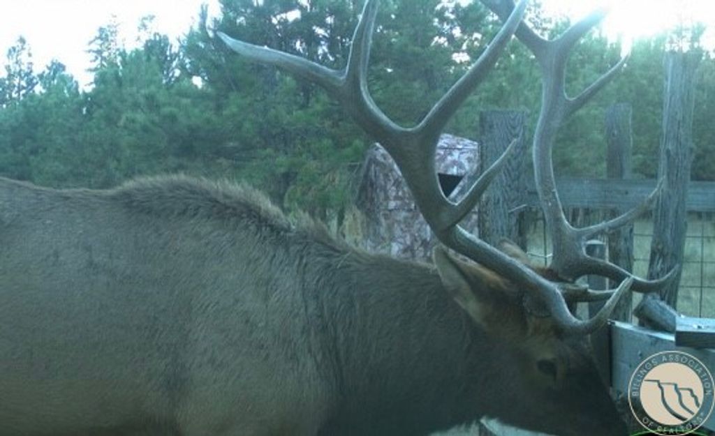 1234 Queens Point Road, Melstone, MT 59054 photo 22