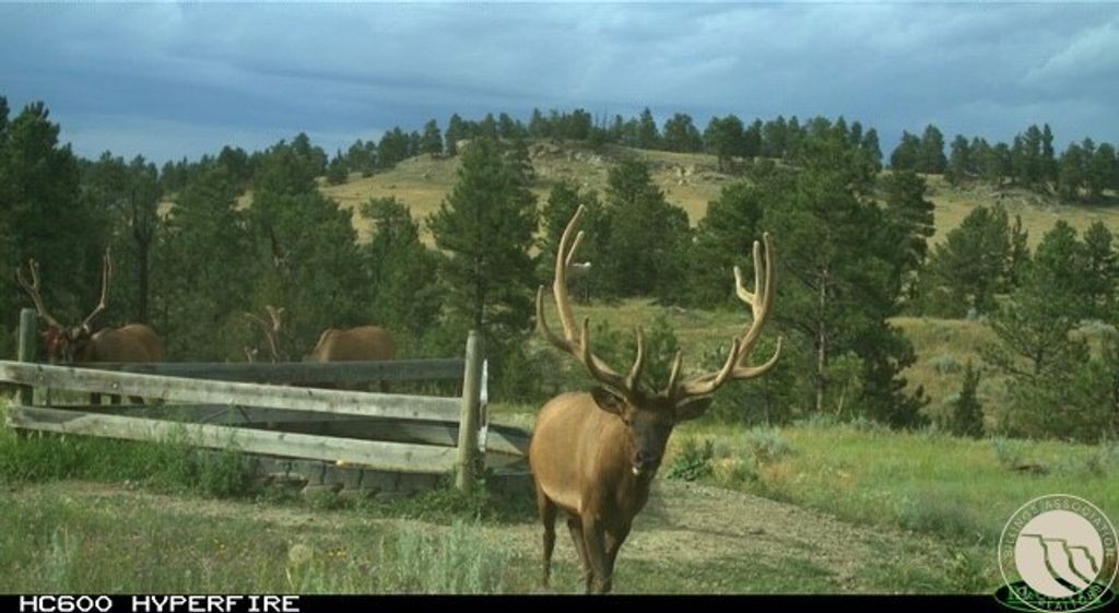 1234 Queens Point Road, Melstone, MT 59054 photo 23