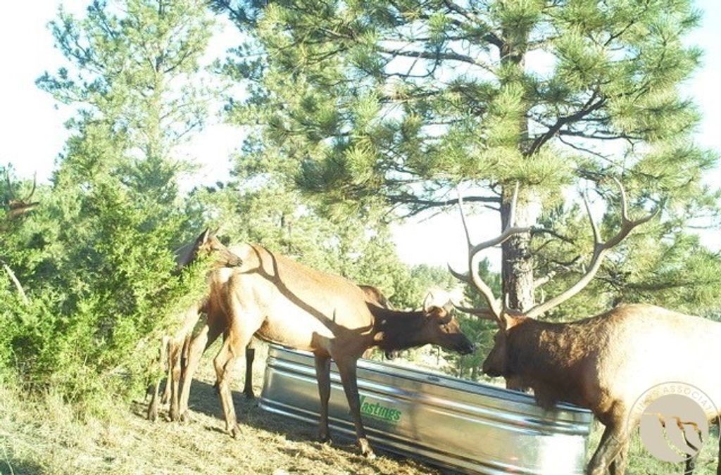 1234 Queens Point Road, Melstone, MT 59054 photo 25