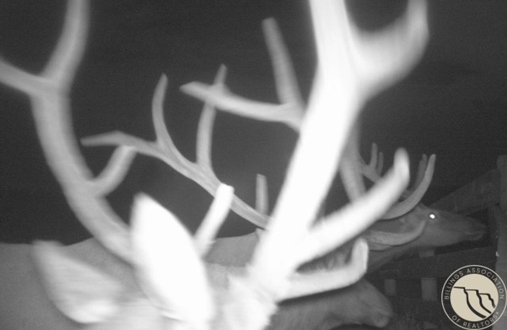 1234 Queens Point Road, Melstone, MT 59054 photo 26