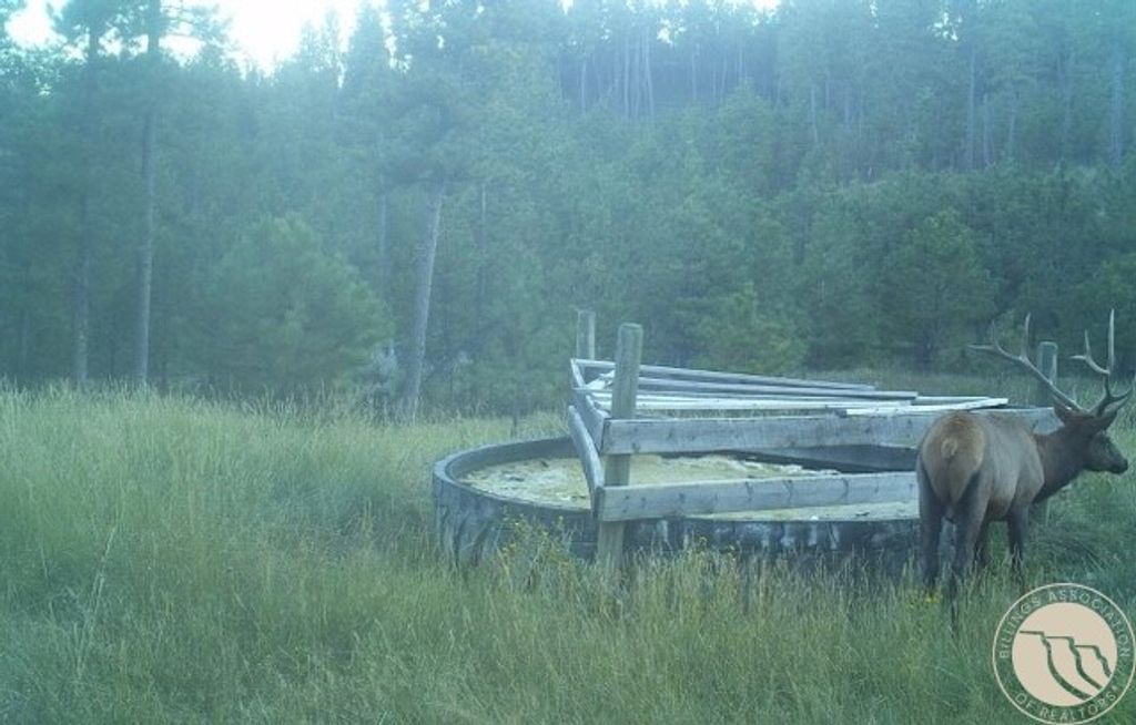 1234 Queens Point Road, Melstone, MT 59054 photo 27