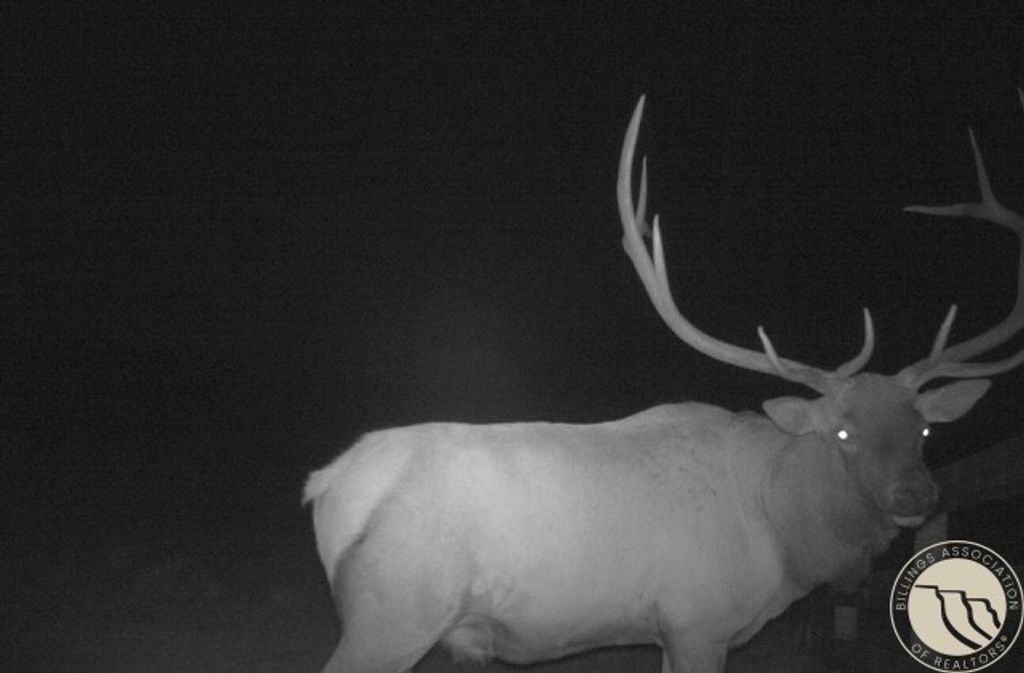 1234 Queens Point Road, Melstone, MT 59054 photo 28