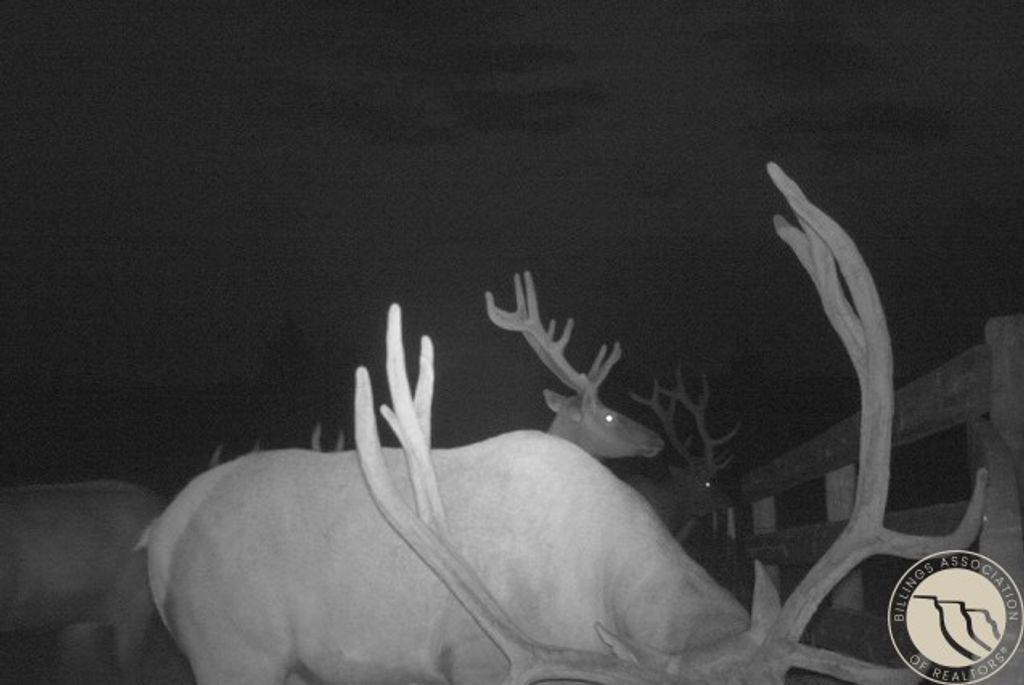 1234 Queens Point Road, Melstone, MT 59054 photo 30