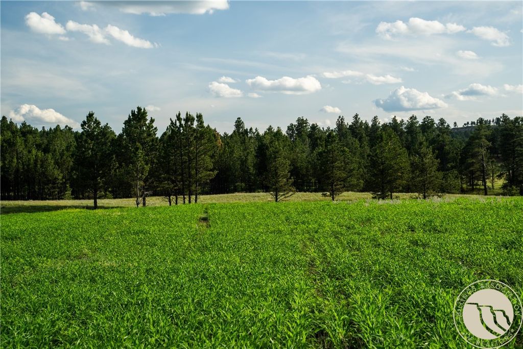 1234 Queens Point Road, Melstone, MT 59054 photo 6