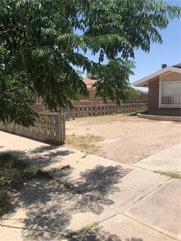 8420 WATERFALL Drive, El Paso, TX 79907